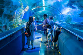 Aquaria KLCC