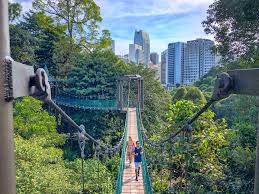 KL Eco Forest
